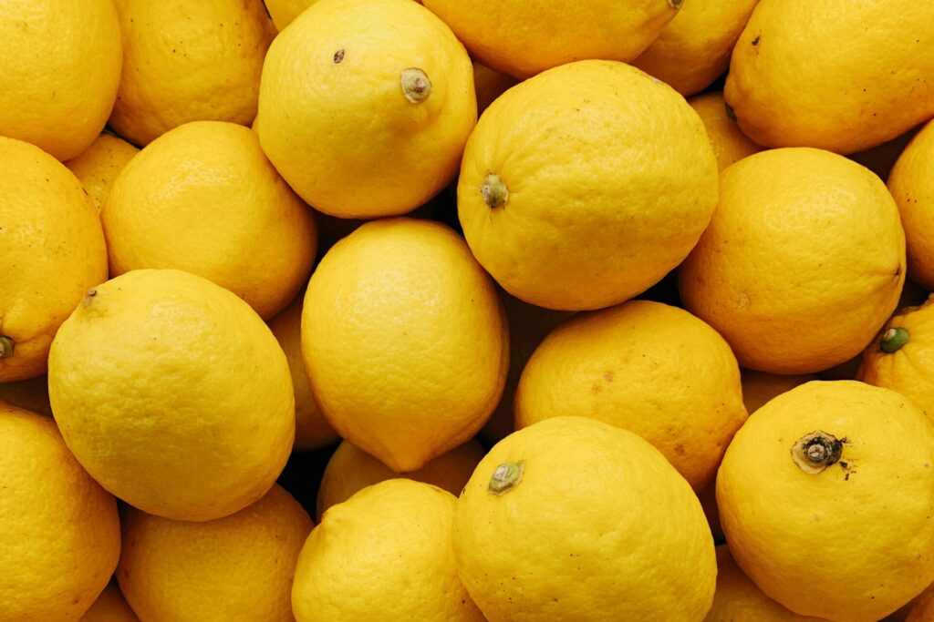 Fresh yellow lemons for bulk export premium seedless citrus wholesale WWCEXP